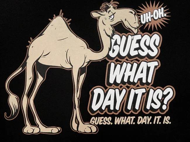 bewild-guess-what-day-it-is-camel-hump-day-adult-hoodie