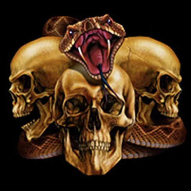 biker-hoodies-slither-skulls-biker-hoodie